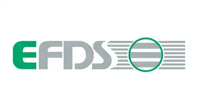 Logo Europäische Forschungsgesellschaft Dünne Schichten