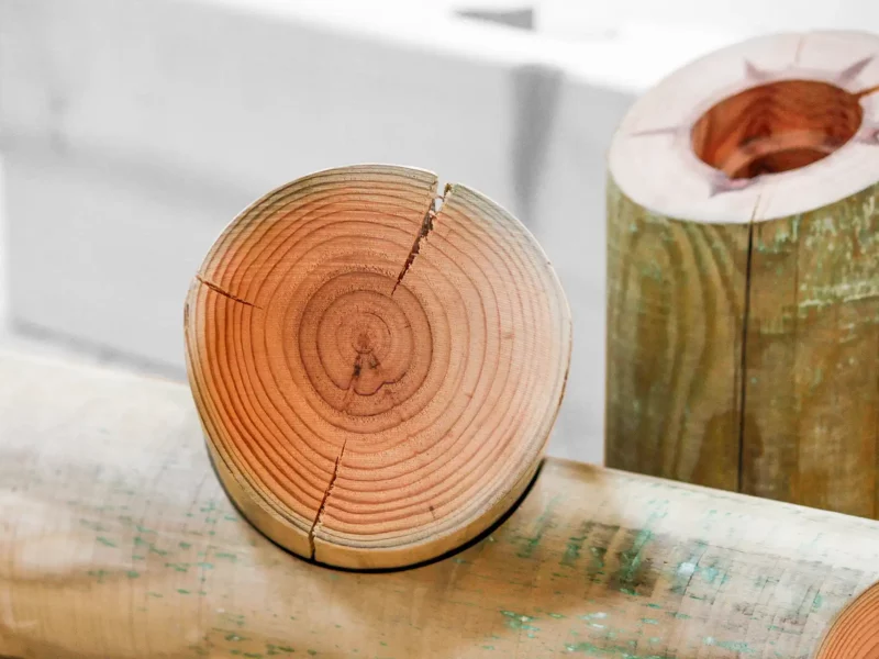 Querschnitt eines Rundholzes, das mit Kupfer­salz imprägniert wurde