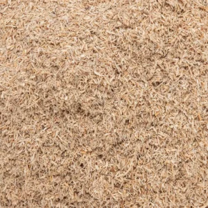 Nahaufnahme eines großen Haufens heller Holz-/Sägespäne – Rohstoff für Span- und Holzwerkstoffe.