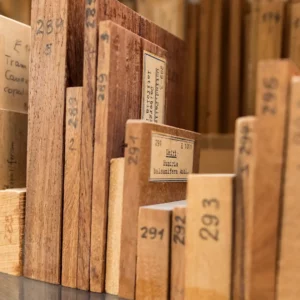 Holzart‑Probenblöcke unterschiedlicher Holzsorten als Referenzsammlung für holzanatomische Untersuchungen