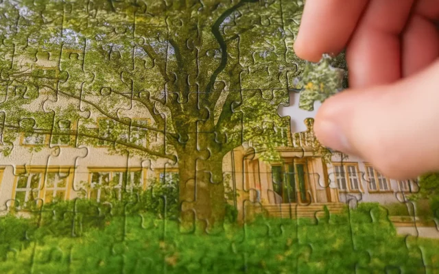 Eine Hand setzt das letzte Teil eines Puzzles mit der Fassade des IHD und einem großen Baum in eine Lücke.