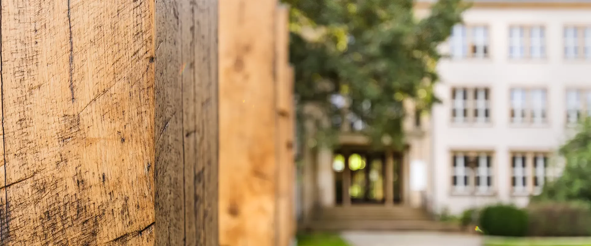 Nahaufnahme verwitterter Holzpfosten links, im unscharfen Hintergrund die Außenansicht des IHD Dresden mit Eingangsbereich, Fassade, Rasen und Weg.