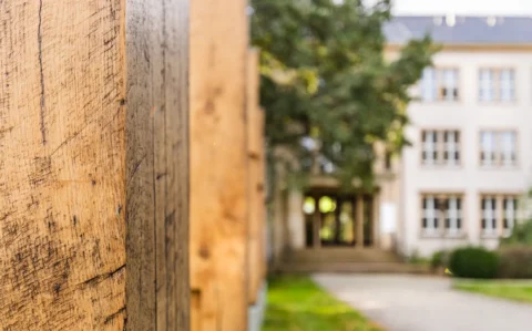 Nahaufnahme verwitterter Holzpfosten links, im unscharfen Hintergrund die Außenansicht des IHD Dresden mit Eingangsbereich, Fassade, Rasen und Weg.
