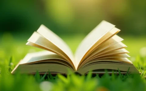 Ein aufgeklapptes Buch liegt auf grünen Grashalmen in sonniger Umgebung – Symbolbild für Studium und Lernen im Freien.