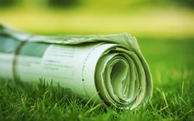 Gerollte Zeitung auf grünem Rasen als Symbol für Nachhaltigkeit und Umweltbewusstsein