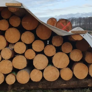 Fichten-Kalamitätsholz