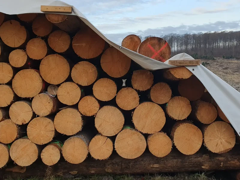 Fichten-Kalamitätsholz