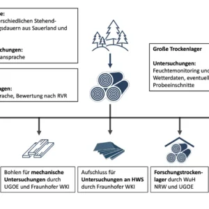 Untersuchungen an im FNR-Verbundprojekt NUKAFI stehendgelagerten Bäumen und weiterführende Untersuchungen an gefällten Kalamitätsfichten (Grafik: G. Böse, DeSH)