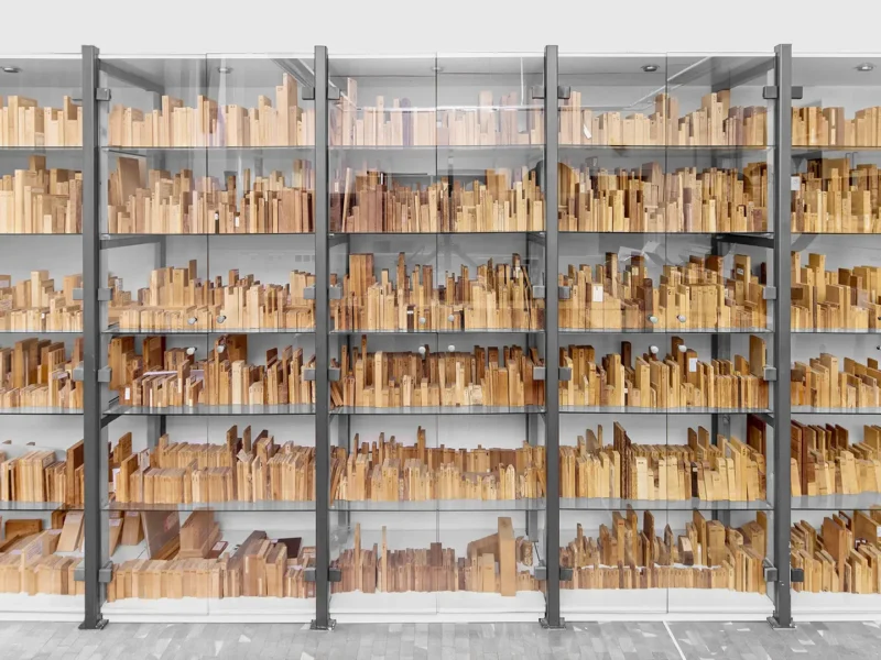 Holzmustersammlung mit Referenzproben verschiedener Holzarten und Holzwerkstoffe